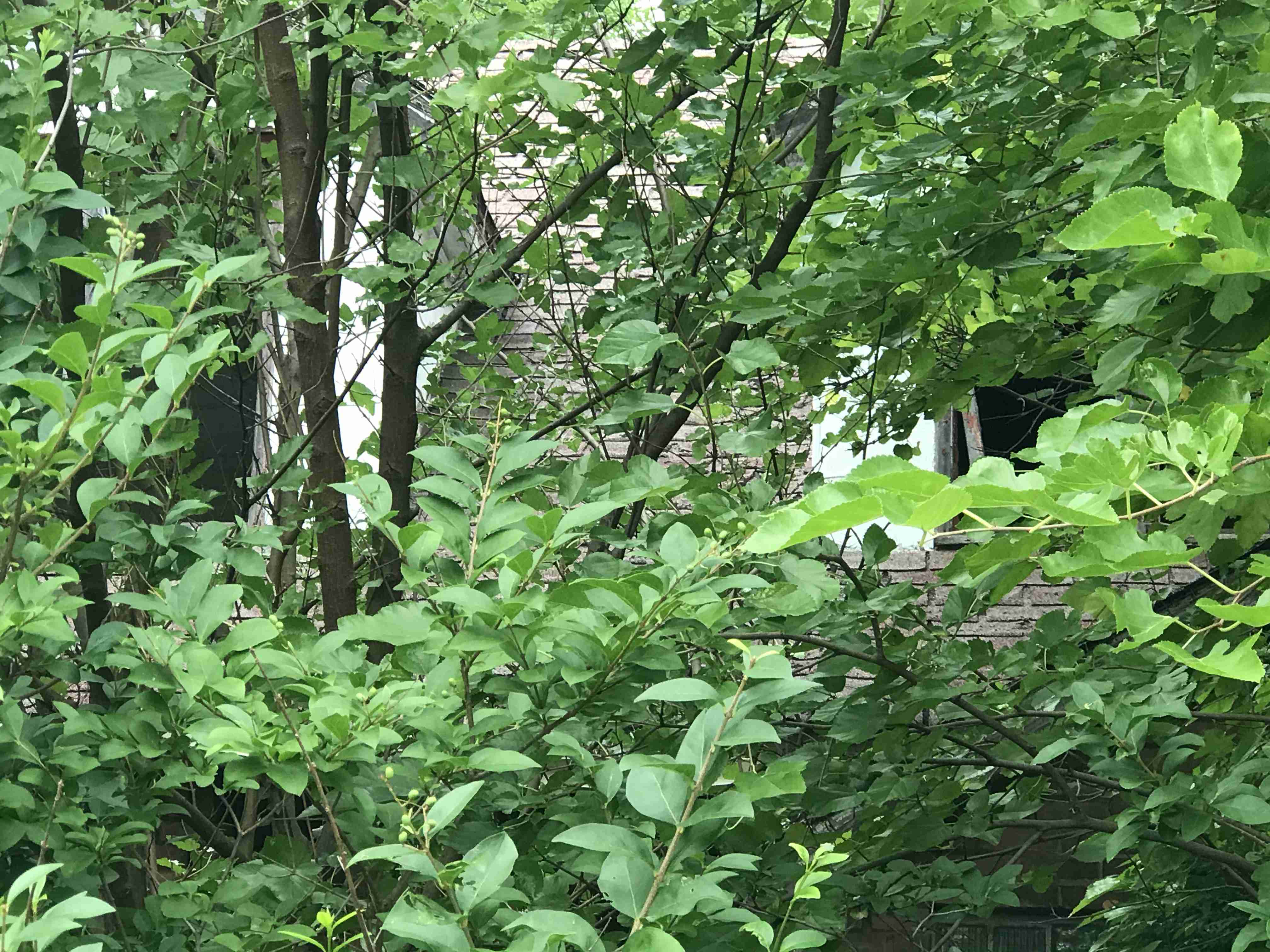 Photo Sep 10, 12 44 51 PM.jpg